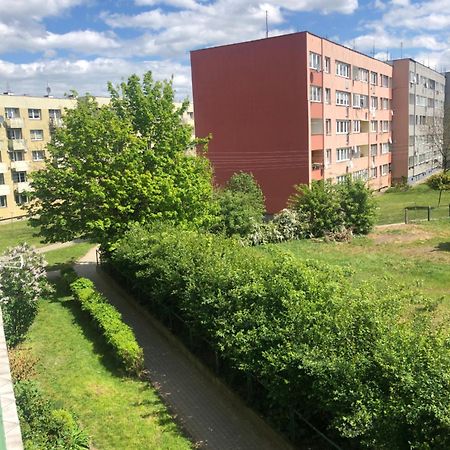 Noclegi Na Sudeckim Świebodzice Eksteriør billede